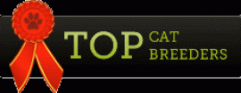 banner_234x60