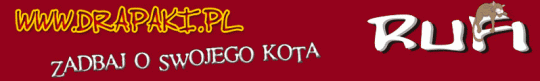 banner_800x120